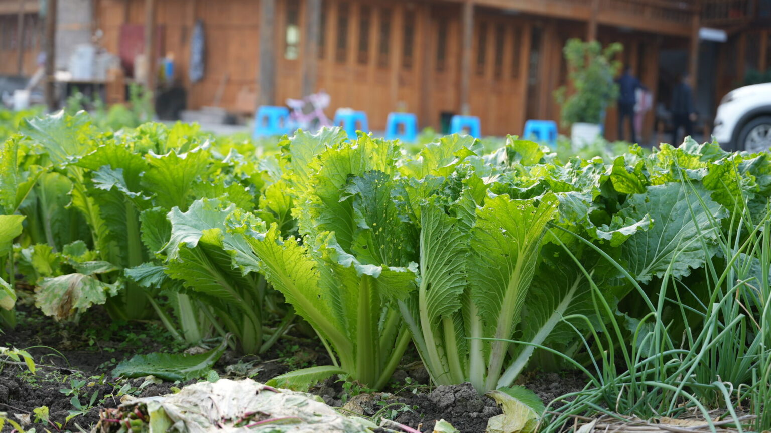 DSC04330