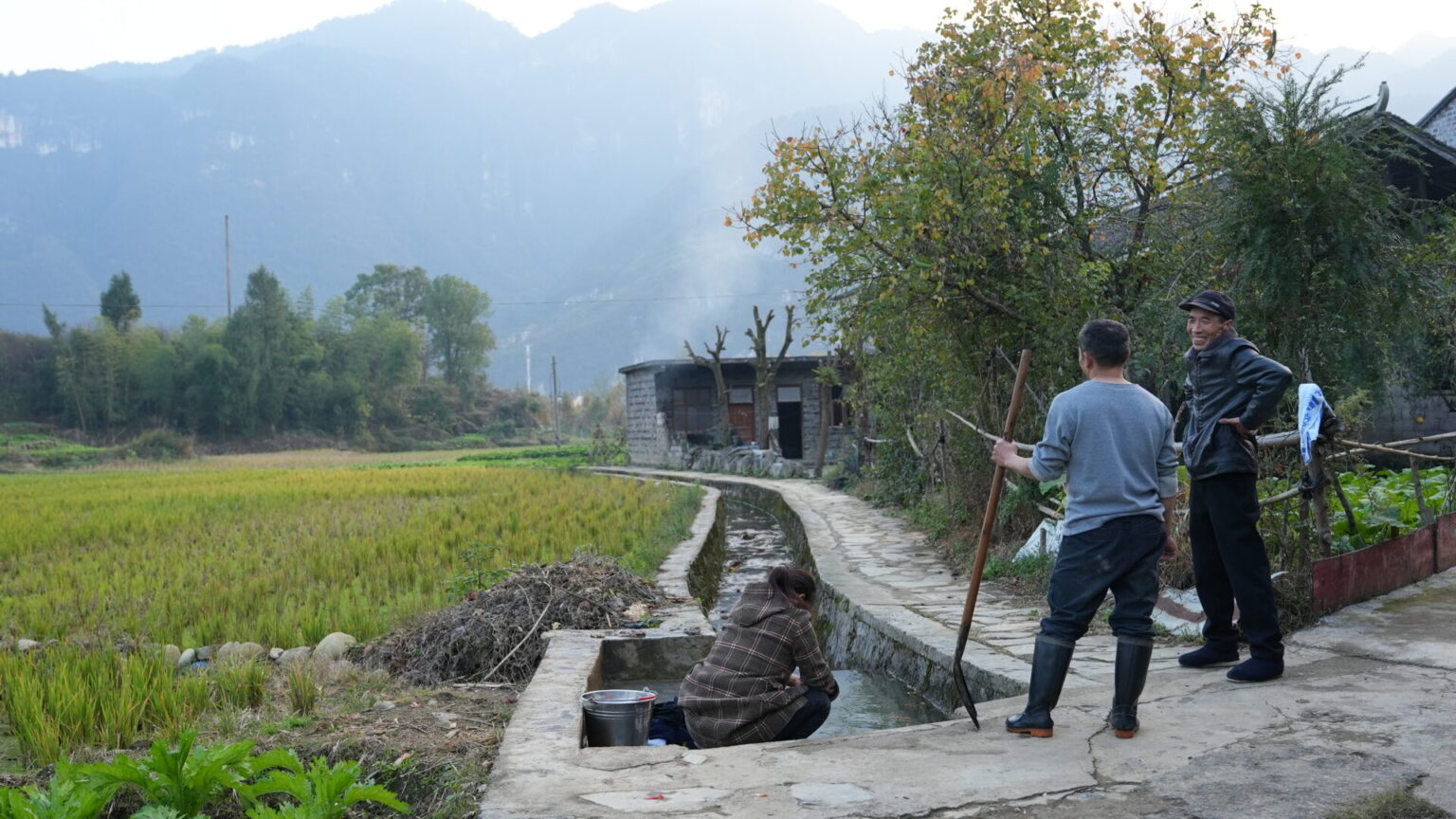 Farm in Jinhe