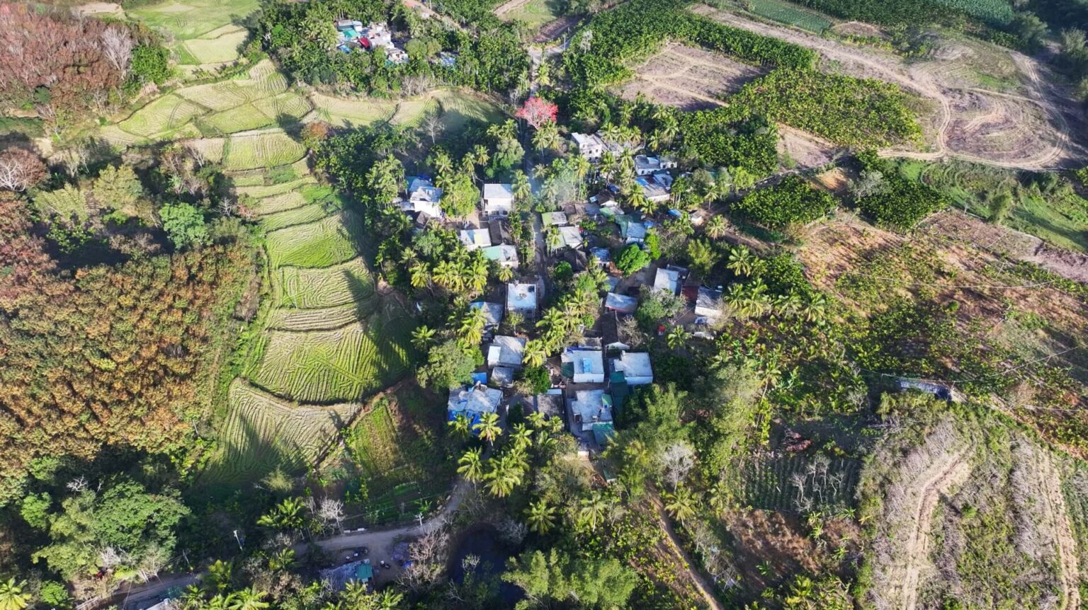 Village drone view