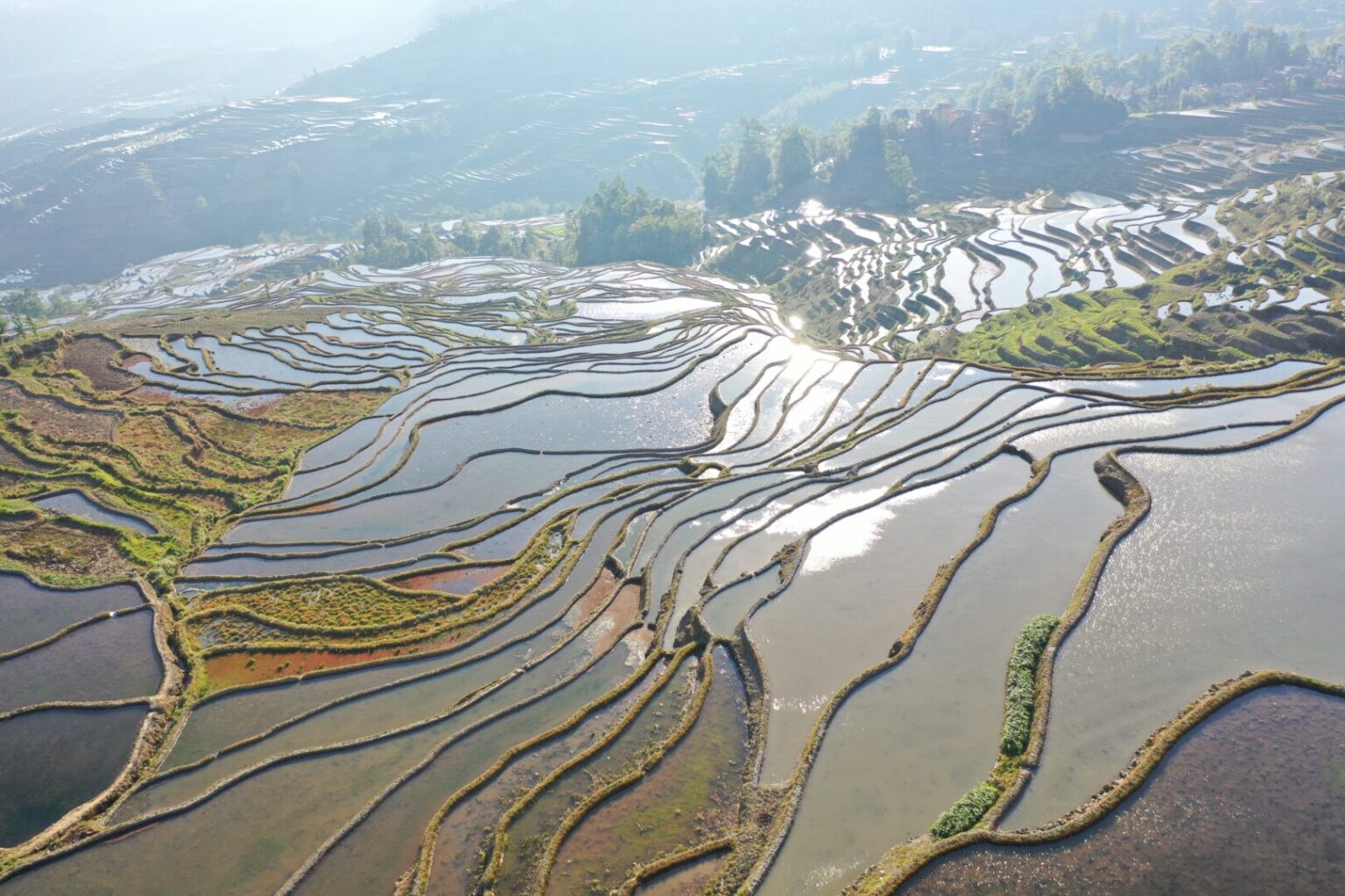 Hani Rice Terraces