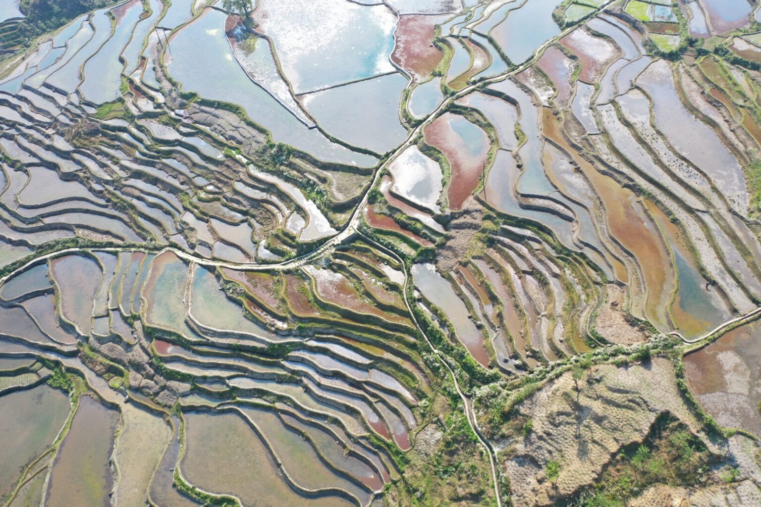 Hani Rice Terraces
