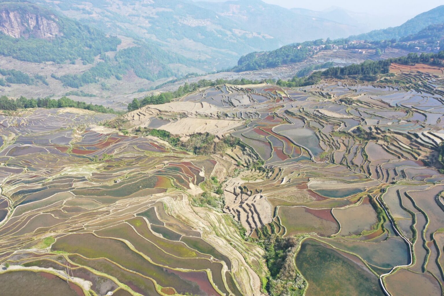 Hani Rice Terraces