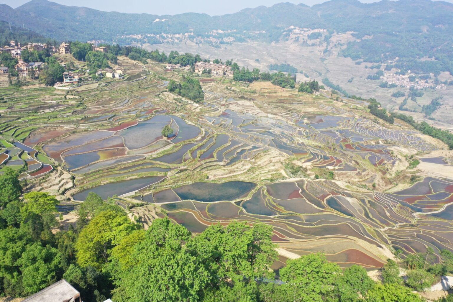 Hani Rice Terraces