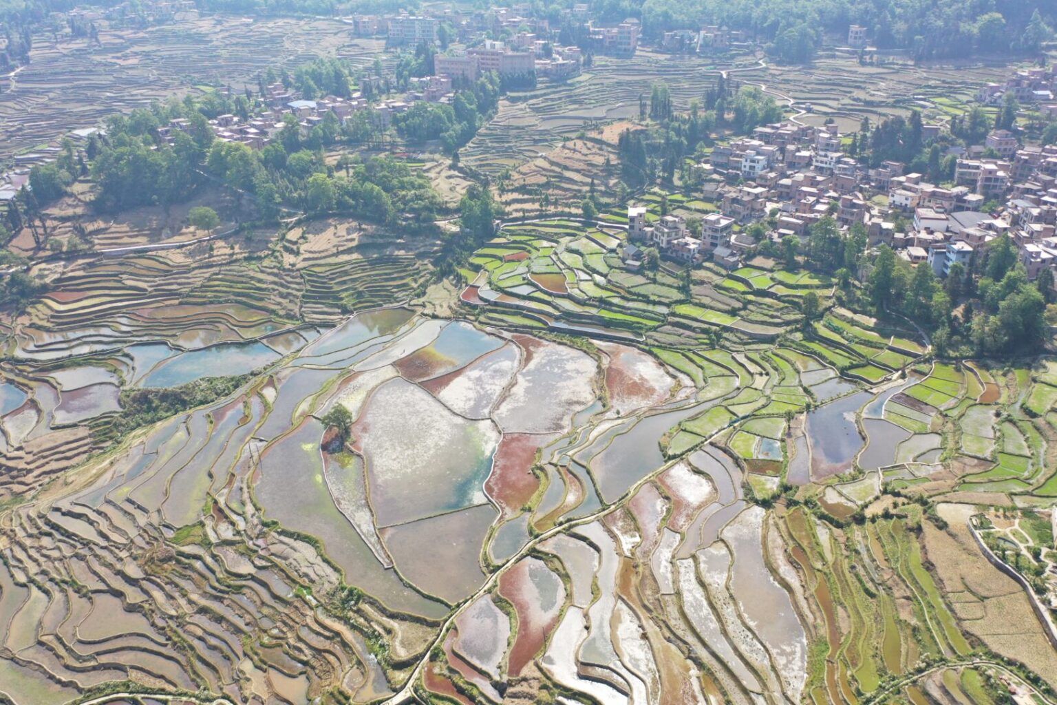 Hani Rice Terraces