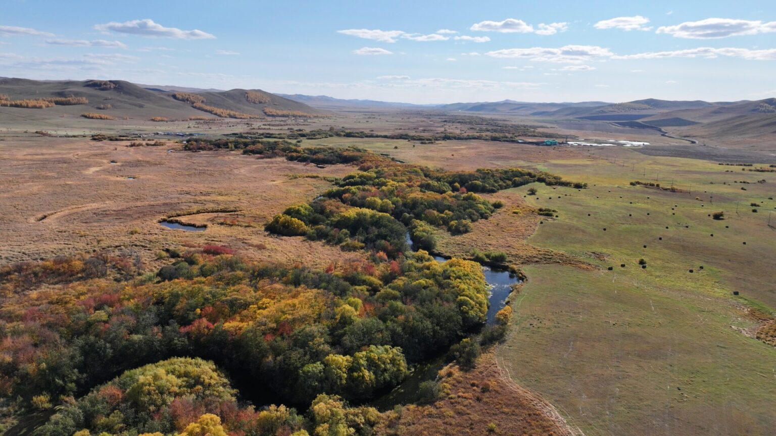 Vast Grasslands