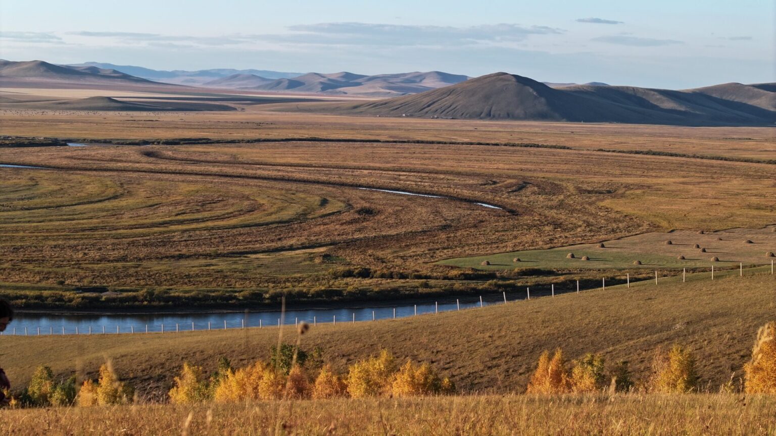 Vast Grasslands