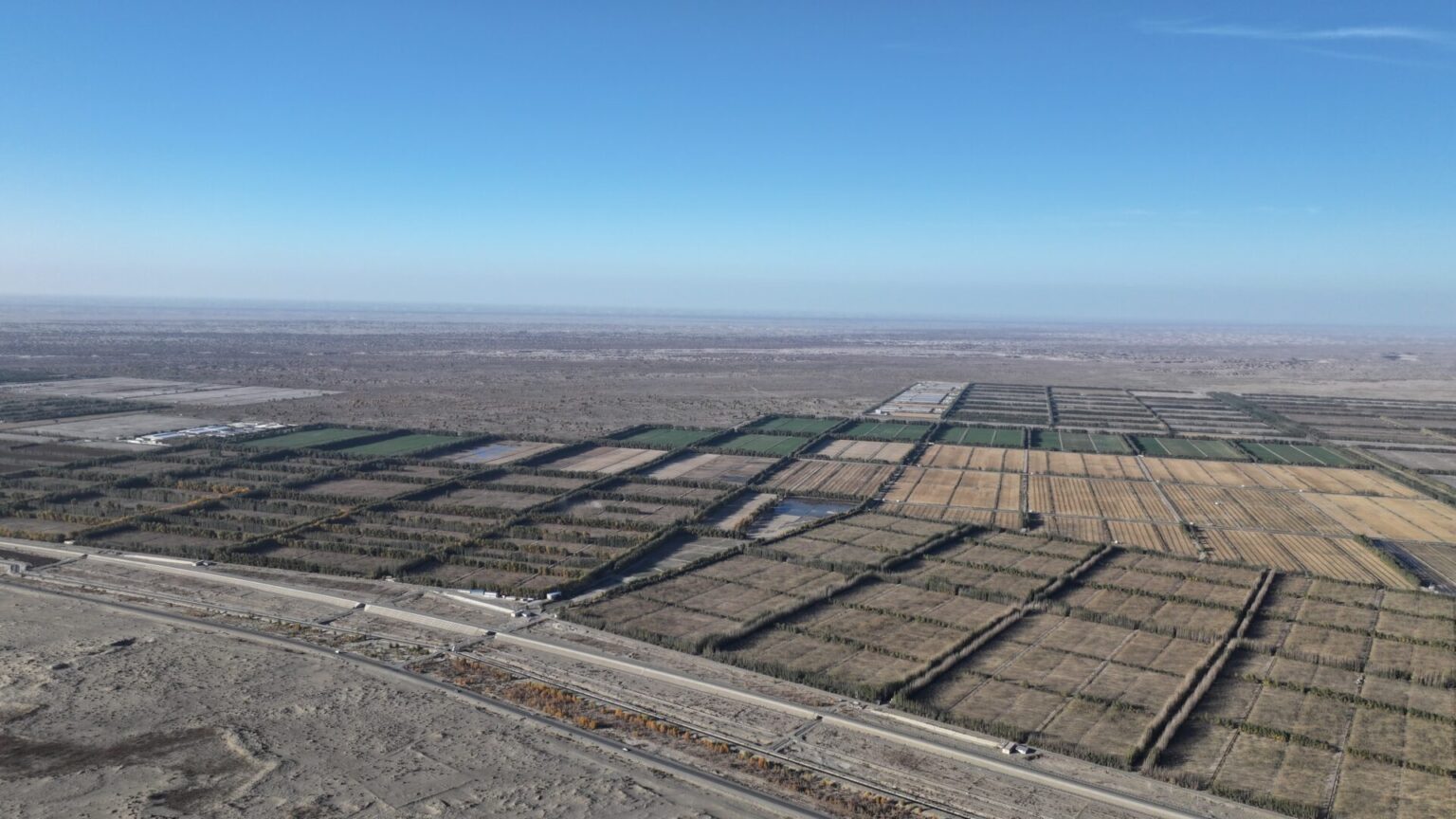 Counter Desertification