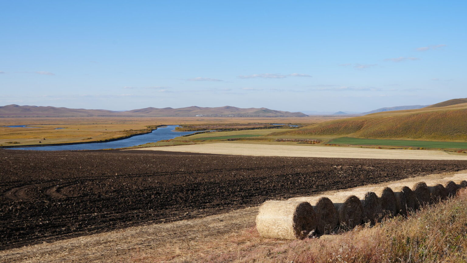 Vast Grasslands