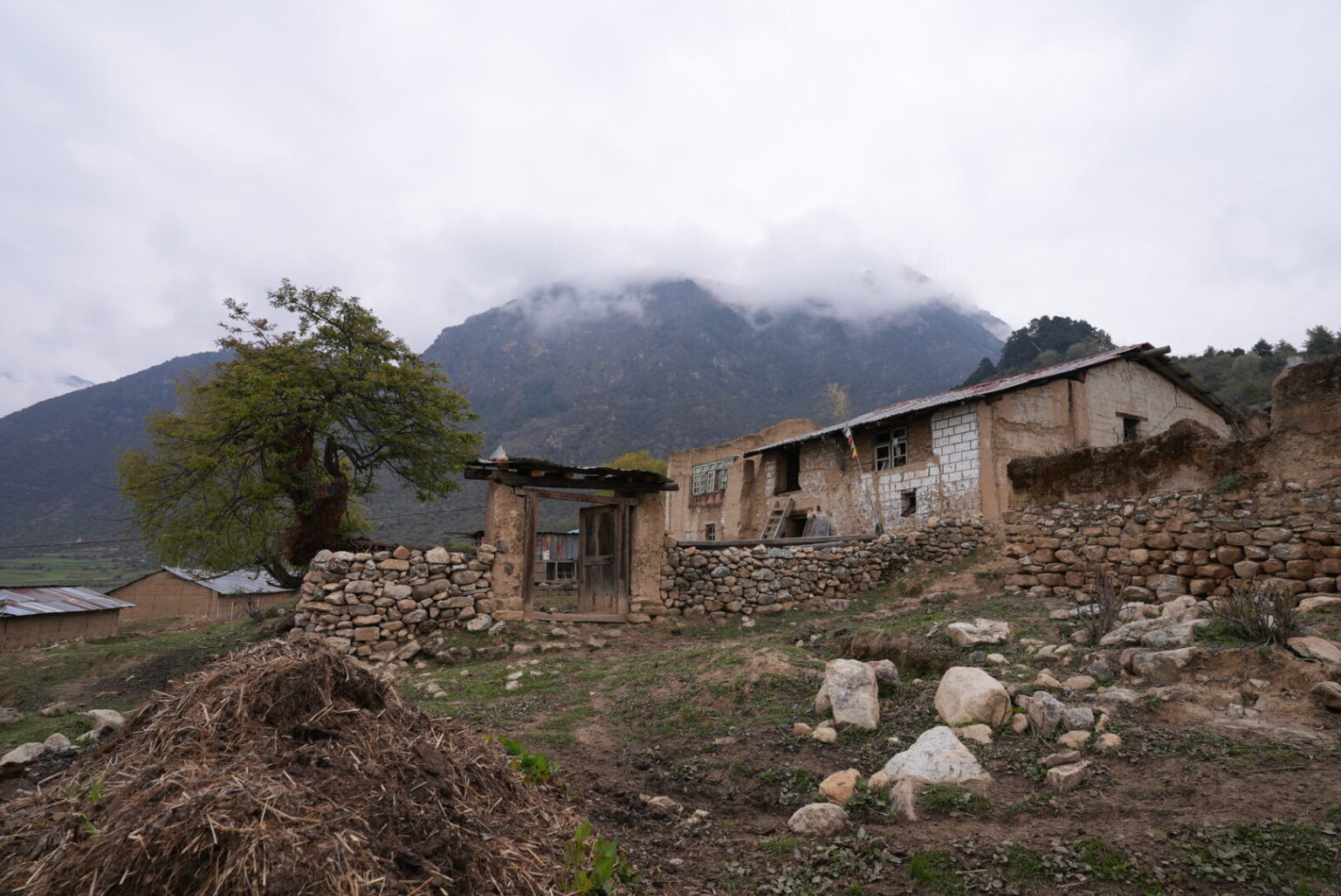 Local House
