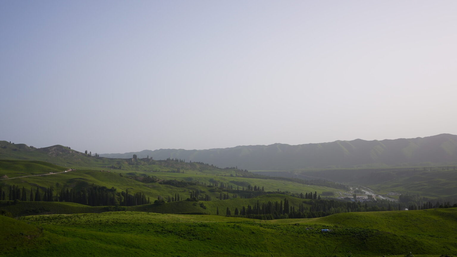 DSC03165