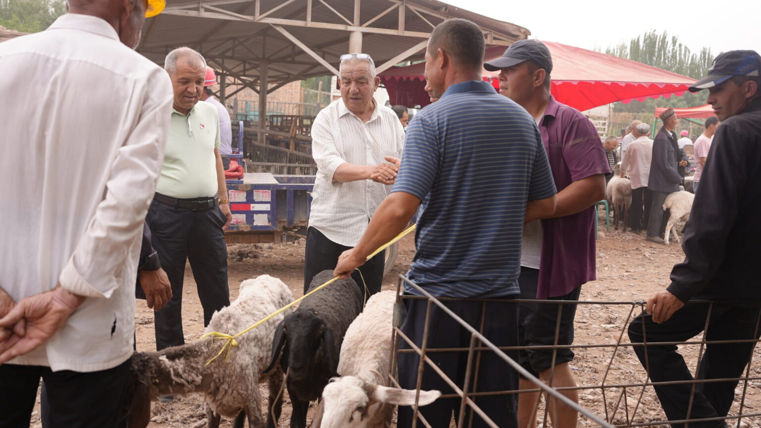 Negotiating the goat price