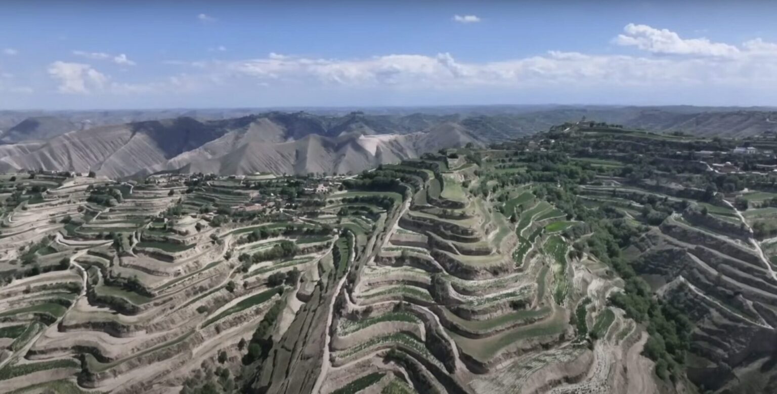 Rice Terraces