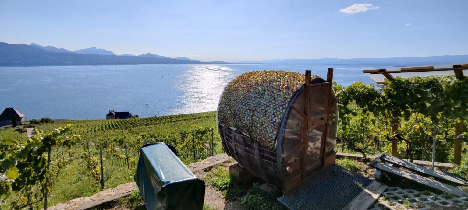Lavaux Wine Yard
